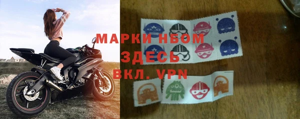 дмт Алзамай
