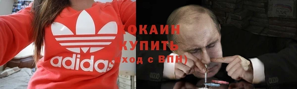 дмт Алзамай