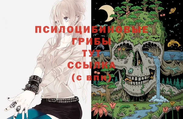 экстази Алексин