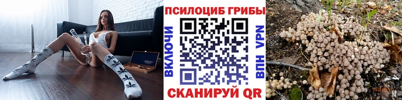 Псилоцибиновые грибы прущие грибы  Киселёвск 